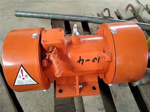 湖南立式振動電機廠家 博越電機設(shè)備公司 立式振動電機廠家供貨